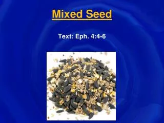 Mixed Seed