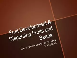 Fruit Development &amp; Dispersing Fruits and Seeds