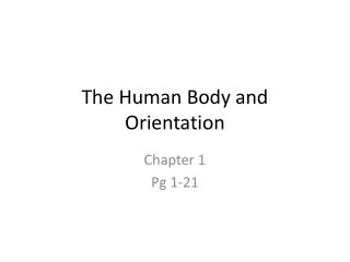 The Human Body and Orientation