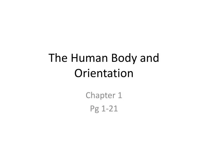 the human body and orientation