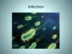 Infection - slide 1