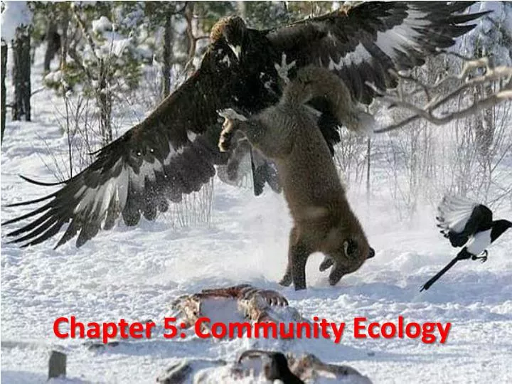 chapter 5 community ecology