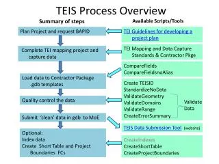 TEIS Process Overview