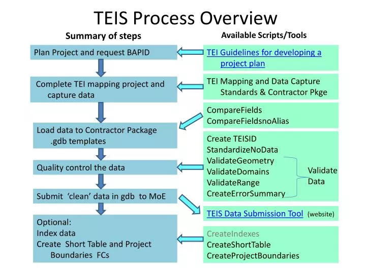 teis process overview