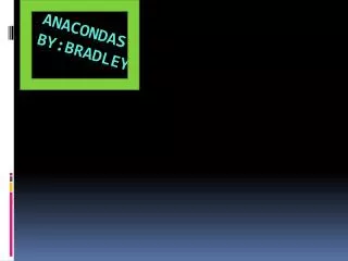 Anacondas by:Bradley