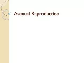 asexual reproduction