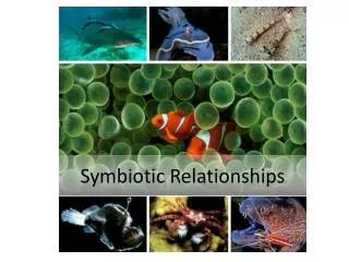 symbiotic relationships