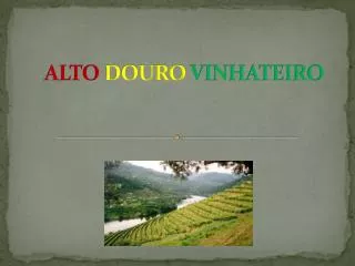 alto douro vinhateiro