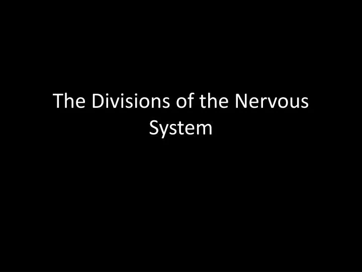 the divisions of the nervous system