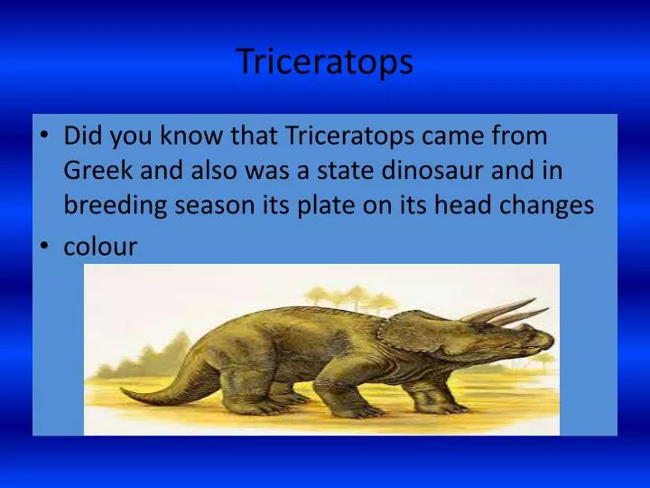 triceratops