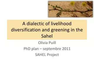 a dialectic of livelihood diversification and greening in the sahel