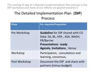 The Detailed Implementation Plan ( DIP ) Process