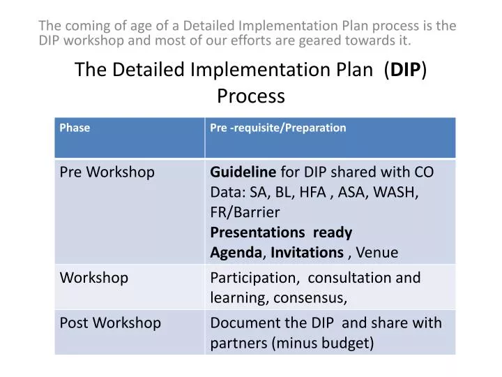 the detailed implementation plan dip process