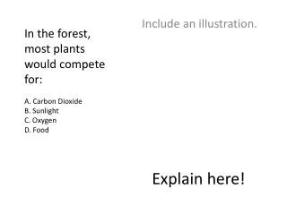 In the forest, most plants would compete for: A. Carbon Dioxide B. Sunlight C. Oxygen D. Food