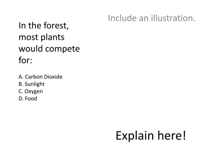 in the forest most plants would compete for a carbon dioxide b sunlight c oxygen d food