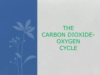 THE CARBON DIOXIDE-OXYGEN CYCLE