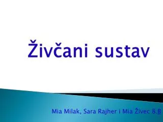 iv ani sustav