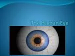 The Human Eye - slide 1