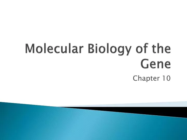 molecular biology of the gene