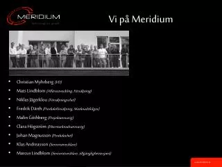 vi p meridium