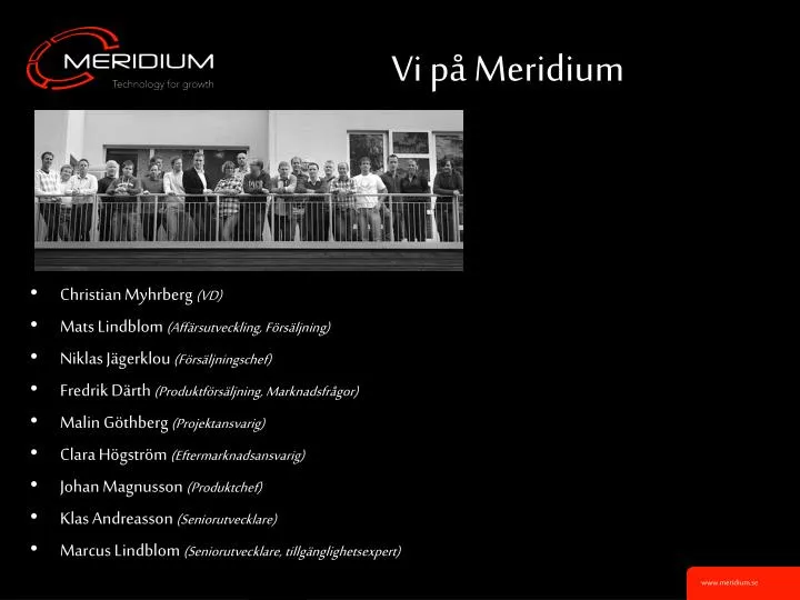 vi p meridium