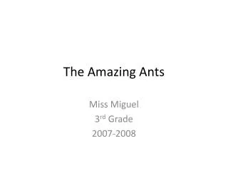 The Amazing Ants