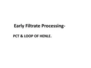 Early Filtrate Processing- PCT &amp; LOOP OF HENLE.