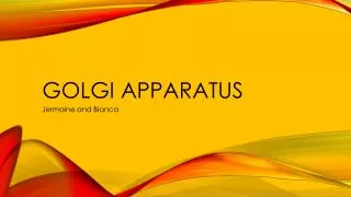 golgi apparatus