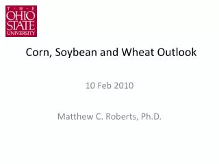 Corn, Soybean and Wheat Outlook