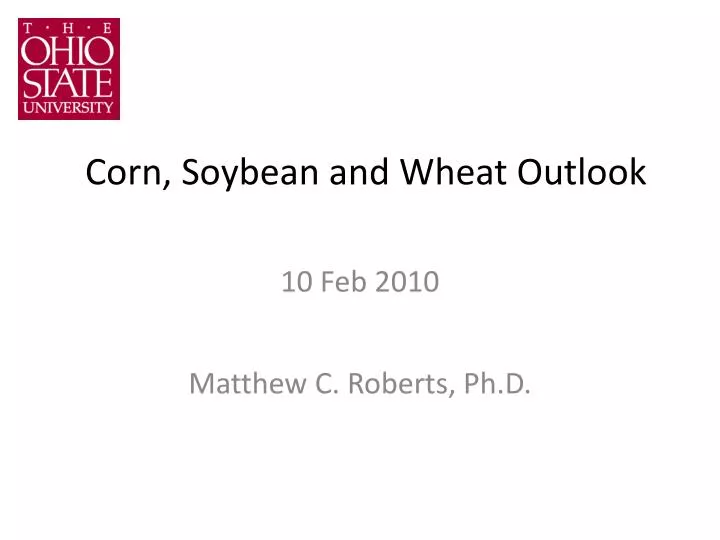 corn soybean and wheat outlook