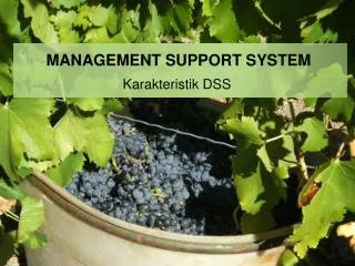 MANAGEMENT SUPPORT SYSTEM