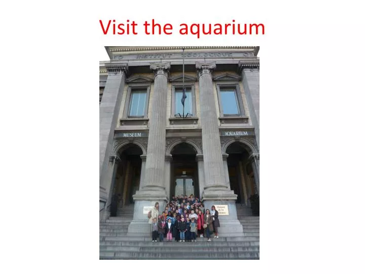 visit the aquarium