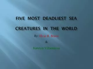 FIVE most deadliest sea creatures in the world