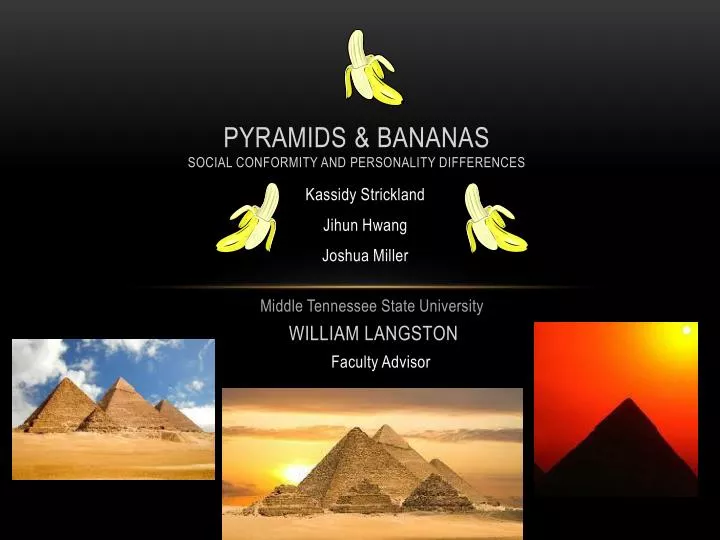 pyramids bananas social conformity and personality differences