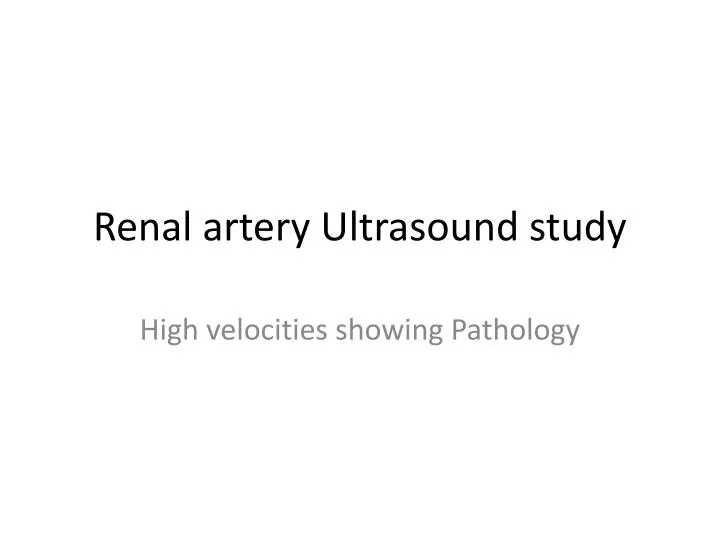 renal artery ultrasound study