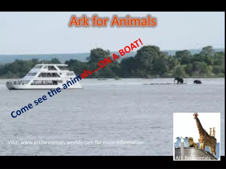 ark for animals