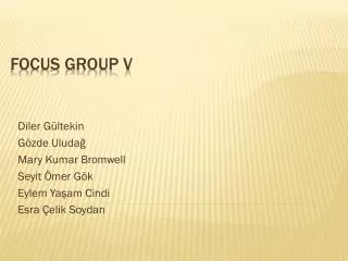 FOCUS GROUP V