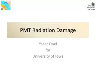 PMT Radiation Damage