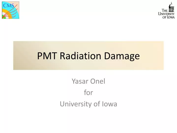 pmt radiation damage