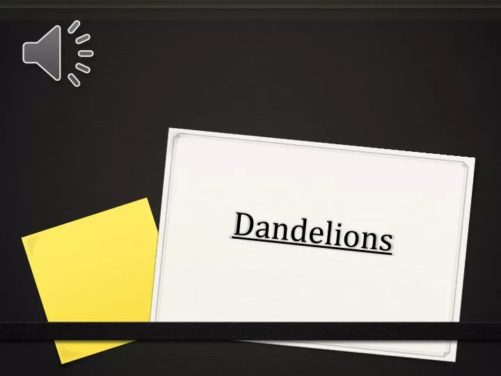 dandelions