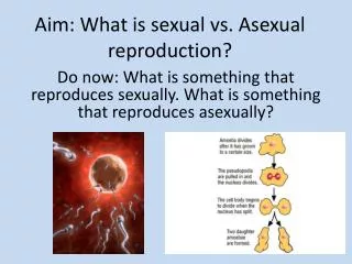Aim: What is sexual vs. Asexual reproduction?