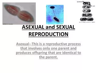 ASEXUAL and SEXUAL REPRODUCTION