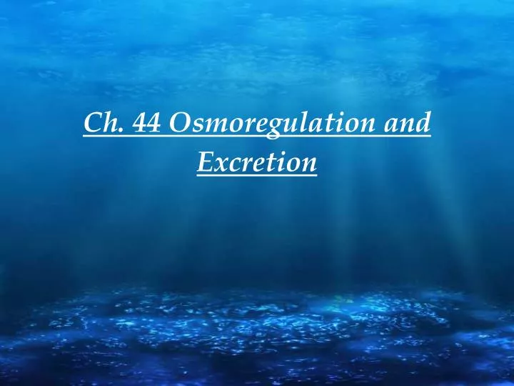 ch 44 osmoregulation and excretion