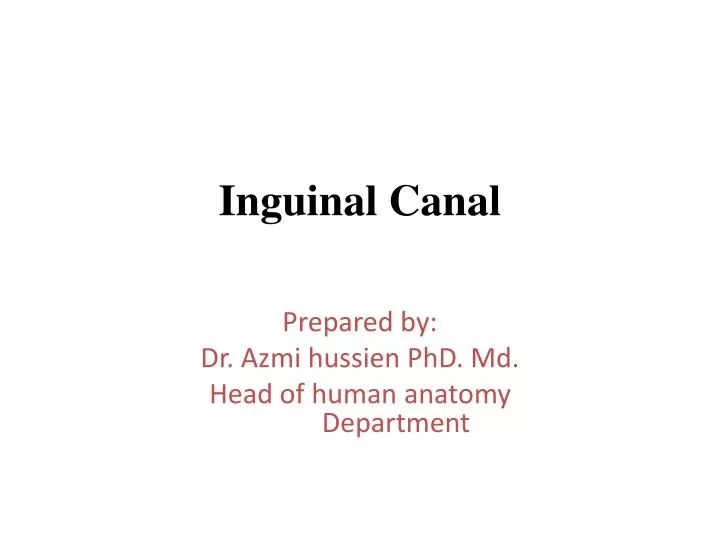 inguinal canal