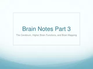 Brain Notes Part 3