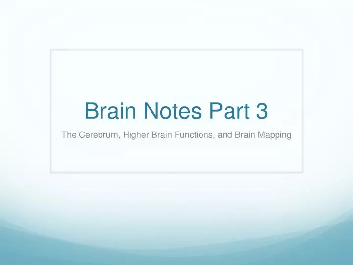 brain notes part 3