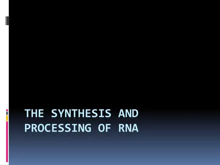 the synthesis and processing of rna