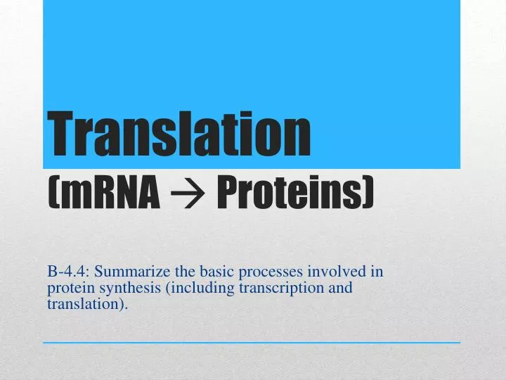 translation mrna proteins