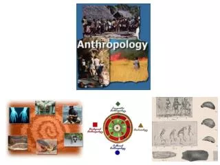 What is Anthropology?