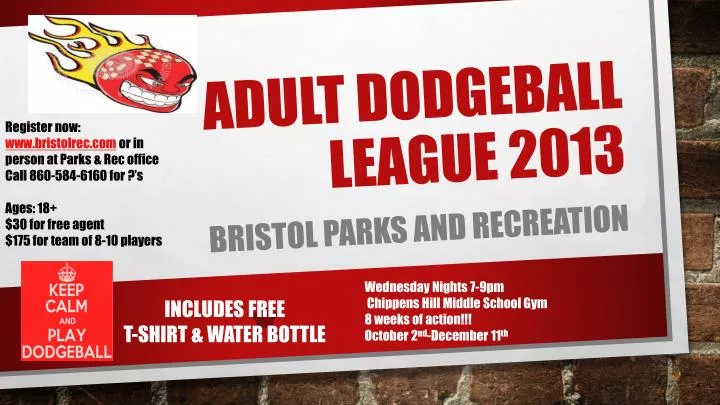 adult dodgeball league 2013